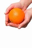 orange in the hands