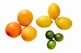 oranges lemons and lime