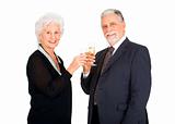 elegant elderly couple toasting