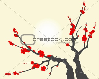 Sakura blossom branch