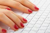 Female hands on computer keyboard - typing