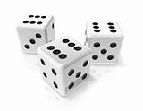 three white win dices