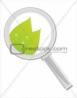 magnifying glass with leaves