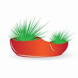 Cactus in red pot