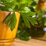 Parsley with Wooden Mortar