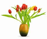 tulips and vessel over white