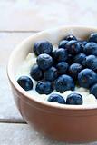 Fresh cottage cheese  with blueberries