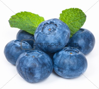 Blueberries with green leaves on a white background