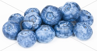 Blueberries on a white background