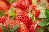 Strawberry with green leaf