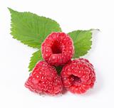 Ripe raspberry on white background