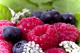 Full frame ripe raspberry and blueberries