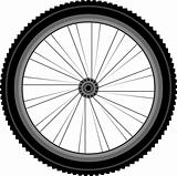 detailed Front wheel of a mountain bike
