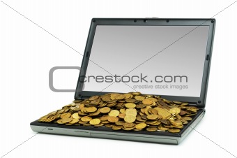 E-commerce concept with dollars and laptop isolated on the white