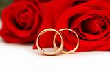 Two wedding rings and red  roses isolated on white