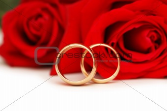 Two wedding rings and red  roses isolated on white