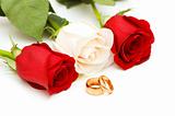 Roses and wedding rings isolated on white