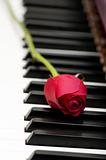 Romantic concept - red rose on piano keys