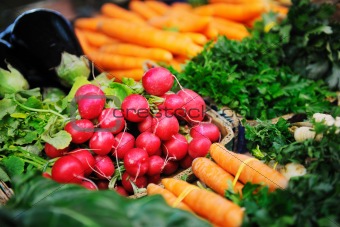 fresh organic vegetables 