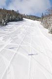tracks on ski slopes at beautiful sunny  winter day