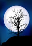 Full moon and tree silhouette