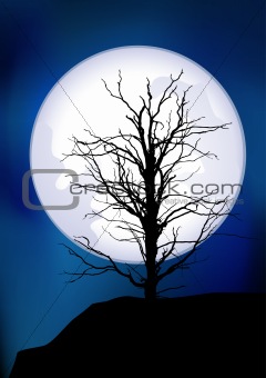 Full moon and tree silhouette