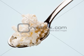 spoon with cottage cheese