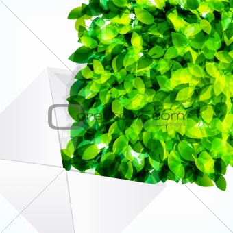Vector fresh spring foliage background. Abstract background of f