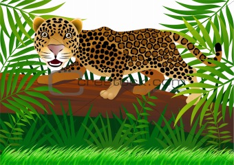 leopard cartoon