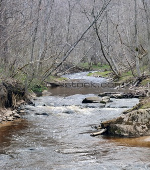 Spring on a wild river