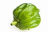 Eastern green bell pepper