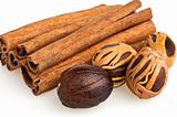 nutmeg and cinnamon sticks