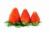 Three red juicy strawberries