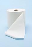 White toilet roll 