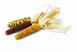 Three colorful dried Indian corns