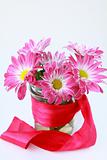pink chrysanthemum flowers  with a red ribbon
