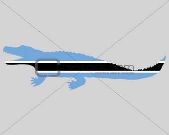 Nile crocodile Botswana