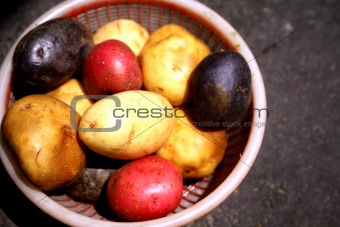Color of potato
