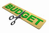 Cutting the Budget