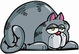 Cartoon of fat grey cat
