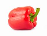 Red ripe pepper