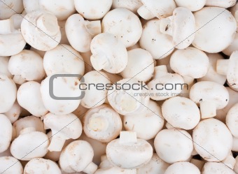 Background of fresh whole mushrooms