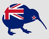 New Zealand kiwi