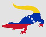 Crocodile Venezuela