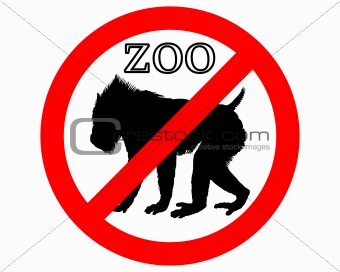 Mandrill in zoo prohibited