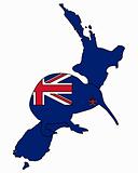 Kiwi of New Zealand