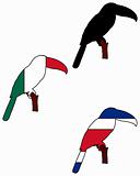 Toucan flags