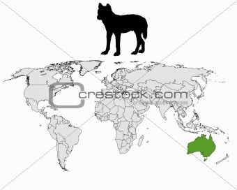 Australian Dingo range