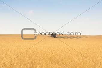 grain harvester combine