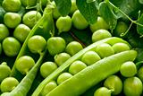 Green peas in the pod